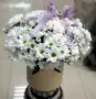 Ромашковый рай