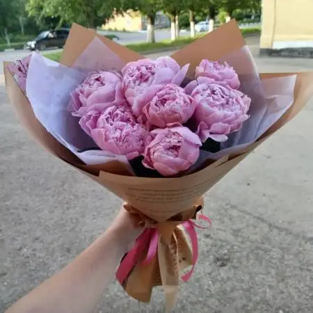 Букет из 7 розовых пионов