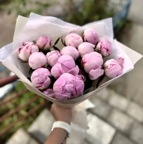 Букет из 15 розовых пионов
